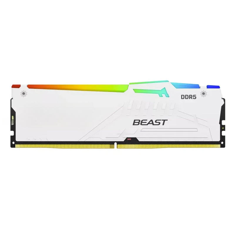 킹스톤 FURY 화이트 RGB 32G(2x16GB) 6 - 64Gb Ddr5 6000Mhz Cl30 2X32Gb Desktop 리뷰 및 가격